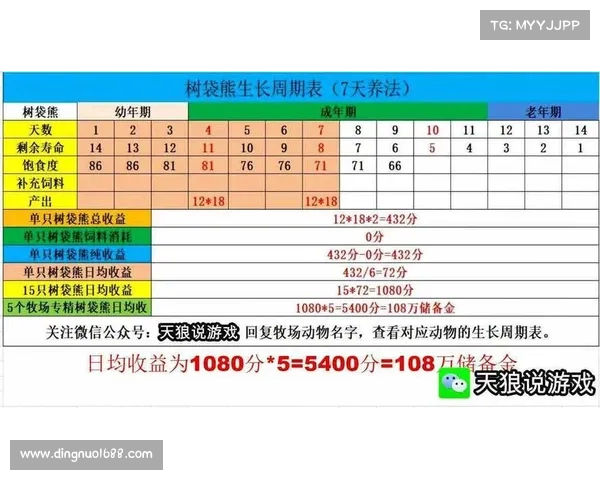 梦幻西游飞升全攻略必备技巧与注意事项详解助你顺利飞升 梦幻西游飞升全攻略必备技巧与注意事项详解助你顺利飞升