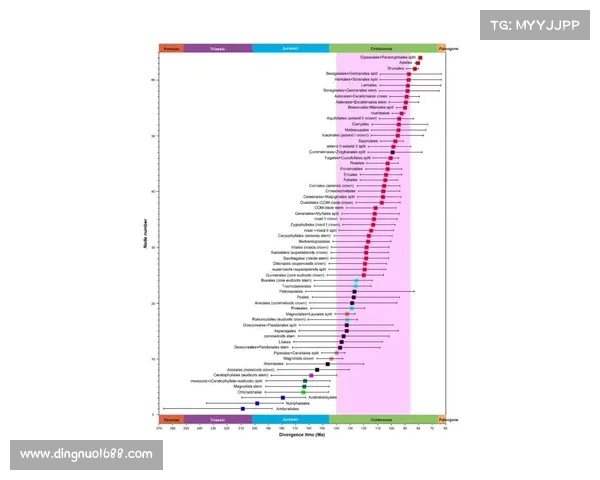 北美洲杯赛的起源演变与辉煌历程全面揭秘 北美洲杯赛的起源演变与辉煌历程全面揭秘